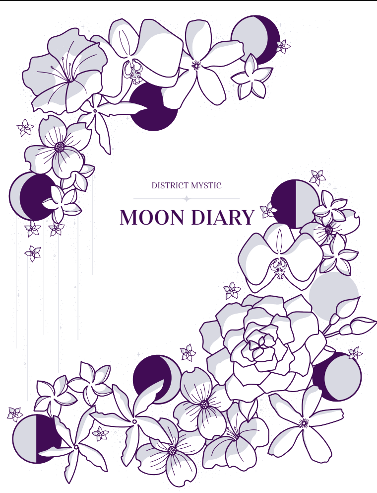 District Mystic Moon Diary